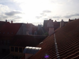PA020040_800x600